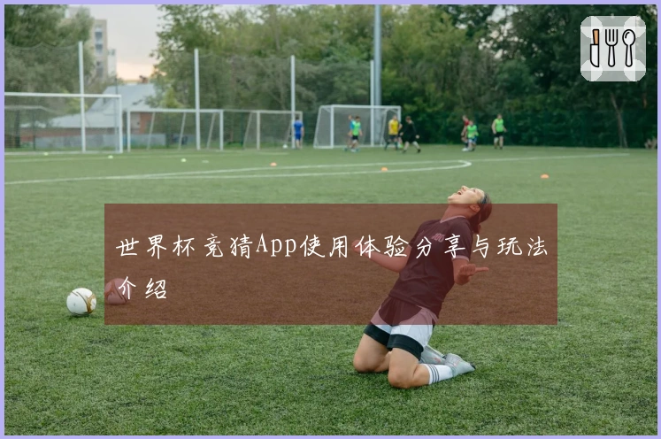 世界杯竞猜App使用体验分享与玩法介绍