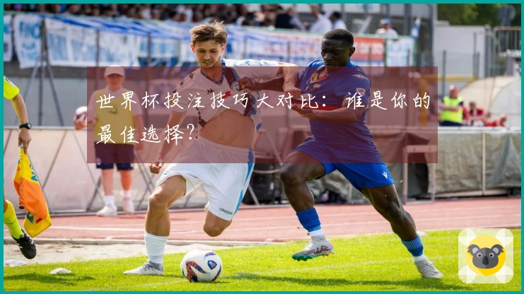 世界杯投注技巧大对比：谁是你的最佳选择？