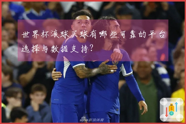 世界杯滚球买球有哪些可靠的平台选择与数据支持？