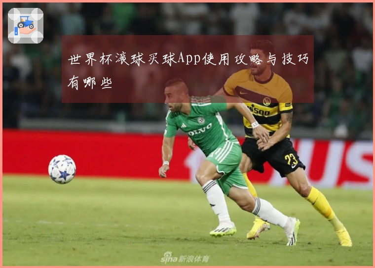 世界杯滚球买球App使用攻略与技巧有哪些