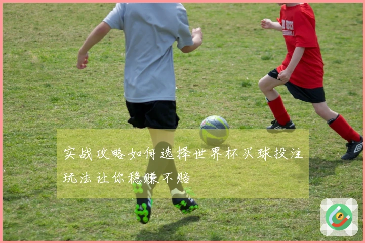 实战攻略如何选择世界杯买球投注玩法让你稳赚不赔