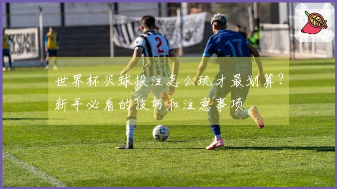 世界杯买球投注怎么玩才最划算？新手必看的技巧和注意事项