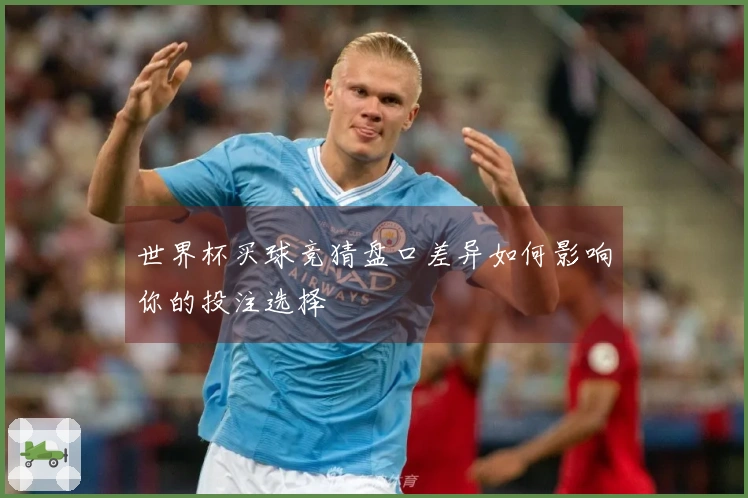 世界杯买球竞猜盘口差异如何影响你的投注选择