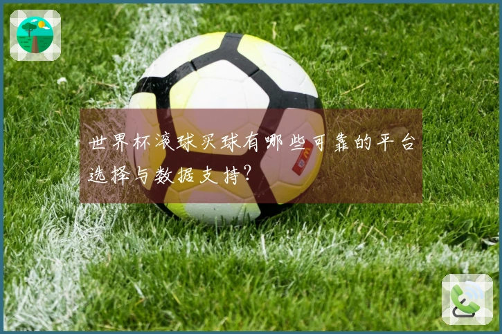 世界杯滚球买球有哪些可靠的平台选择与数据支持？