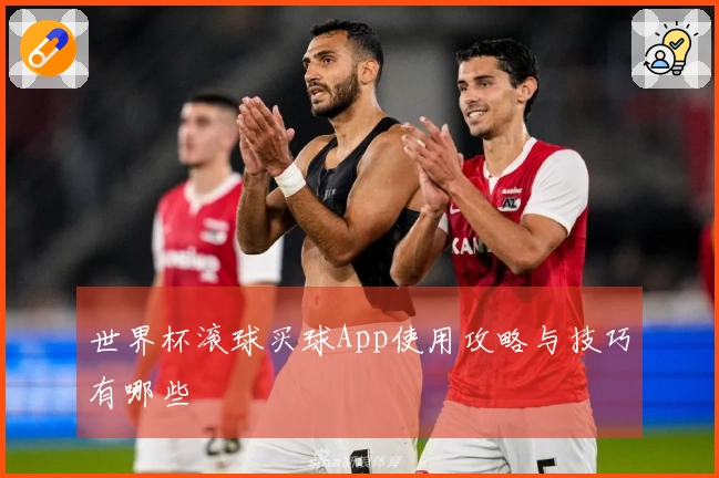 世界杯滚球买球App使用攻略与技巧有哪些