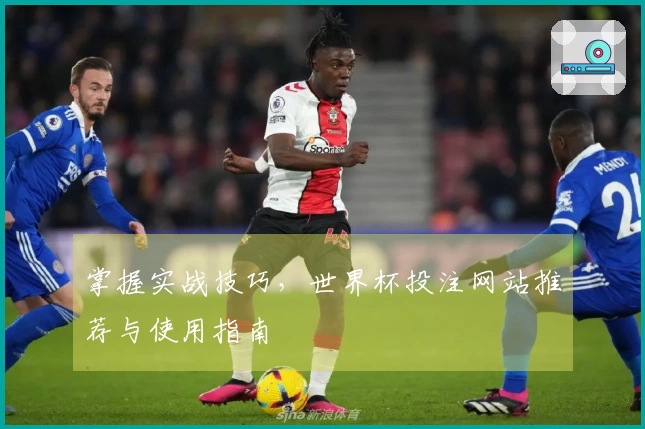 掌握实战技巧，世界杯投注网站推荐与使用指南