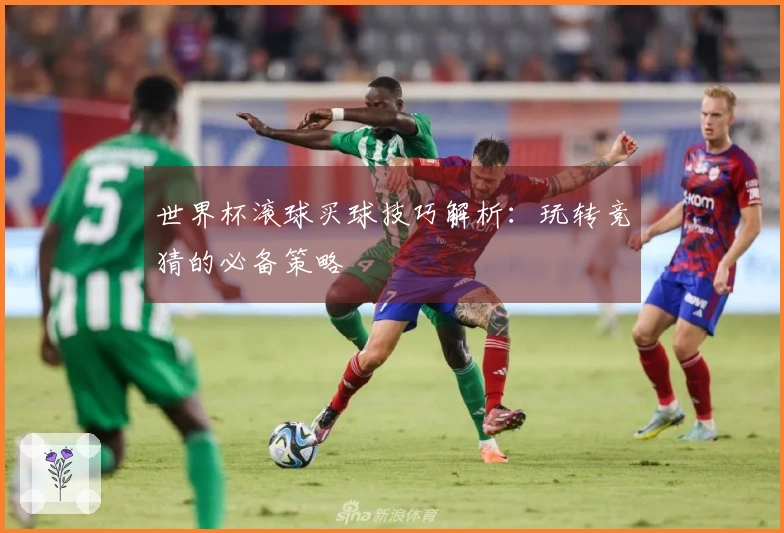 世界杯滚球买球技巧解析：玩转竞猜的必备策略