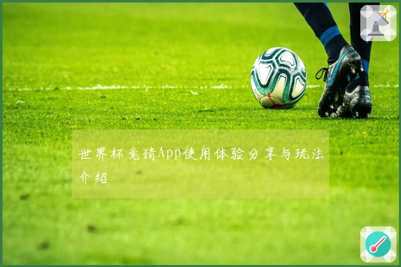 世界杯竞猜App使用体验分享与玩法介绍